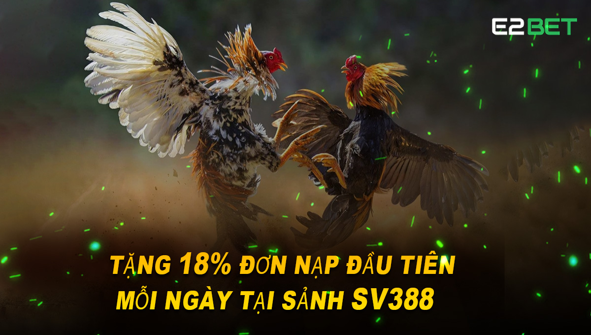 Thật bất ngờ vì đa gà cũng là bộ môn được yêu thích tại mỹ.